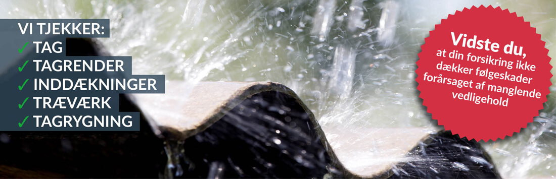 Tagtjek_topbillede_desktop_1100x355