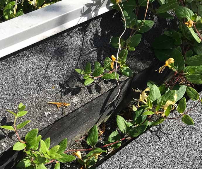 nyt tag tagpaptag 3 jydsk tagteknik