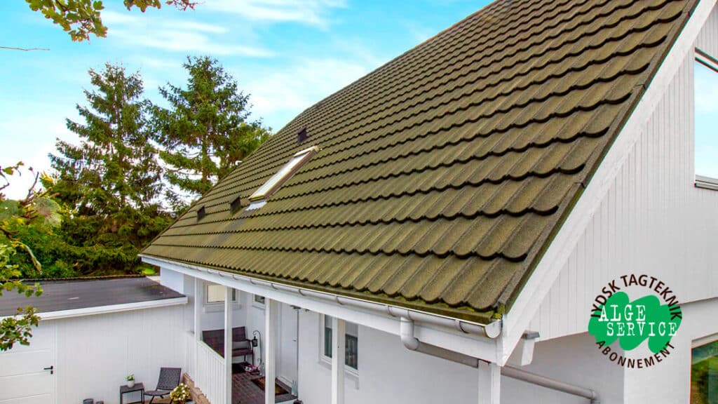 Tag med algebelægning på parcelhus før tagrenovering og løbende algeservice abonnement